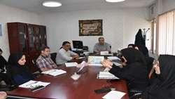 نشست کمیته پیشگیری از پوکی استخوان در ستاد شبکه بهداشت و درمان شهرستان ری